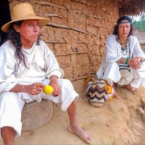 Eli 1 copy Eli 1 copy